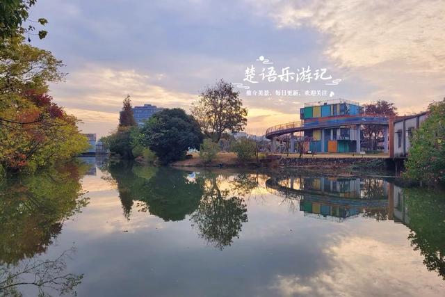 浙江宁波的水景公园，不仅是露营的好去处，还是银杏乌桕观赏胜地