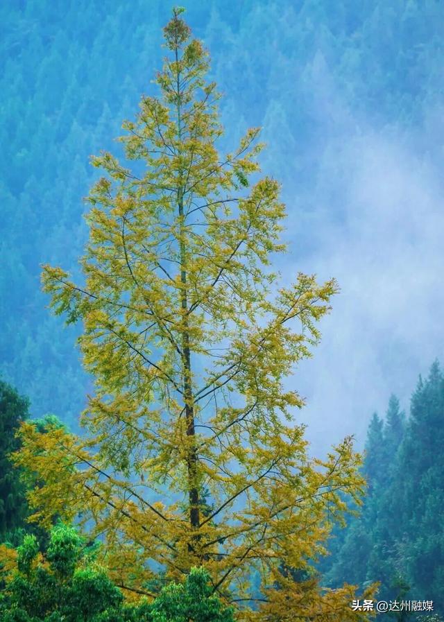 渠县賨人谷的秋天“水”醒啦，去解锁川东小九寨！