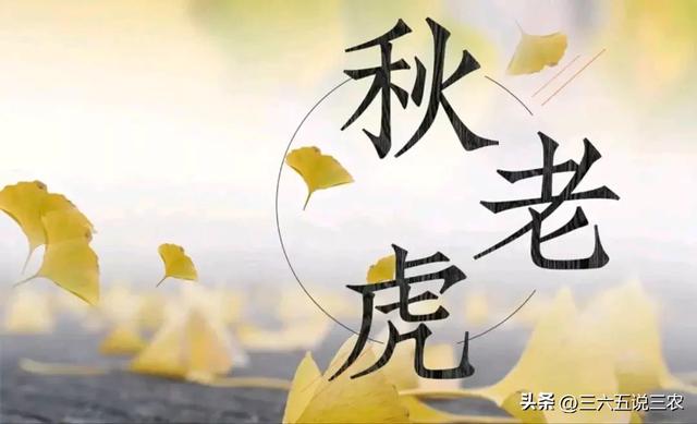 “秋老虎猛不猛，就看末伏”，今日末伏，今年秋老虎会很凶吗？