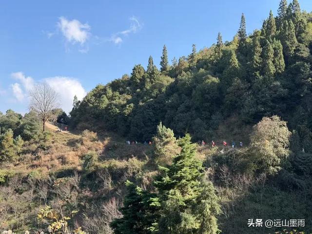 阳光明媚的冬日里，我们爬山去，逛陡坡村、看冬樱花，做晴朗的事