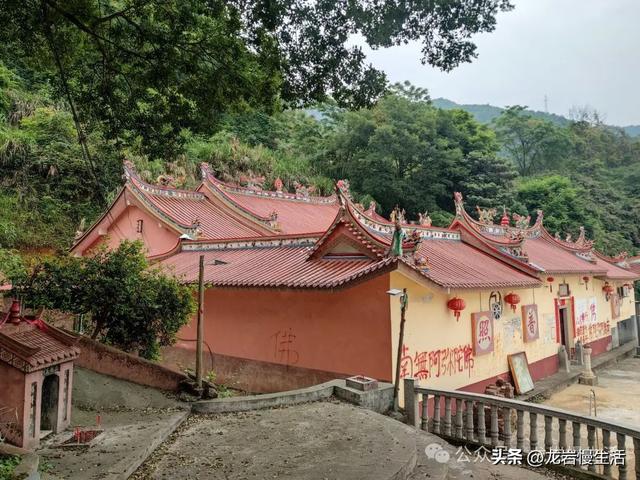 大美高陂 一村一景