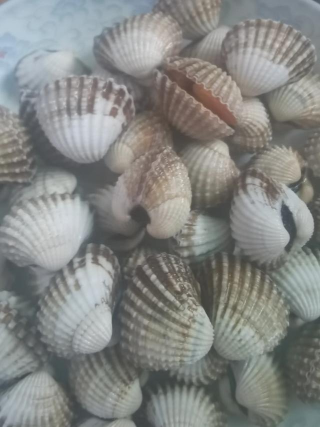 菠菜和花胶可以同吃吗 2025年菠菜可以和花胶一起吃吗