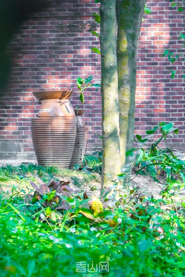 珠海5000年沙丘遗址秘境，免费开放！