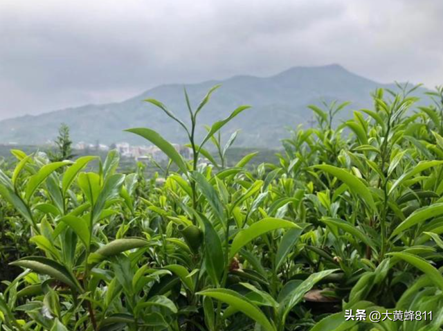 认识大美广东的每个县——第20波：海丰