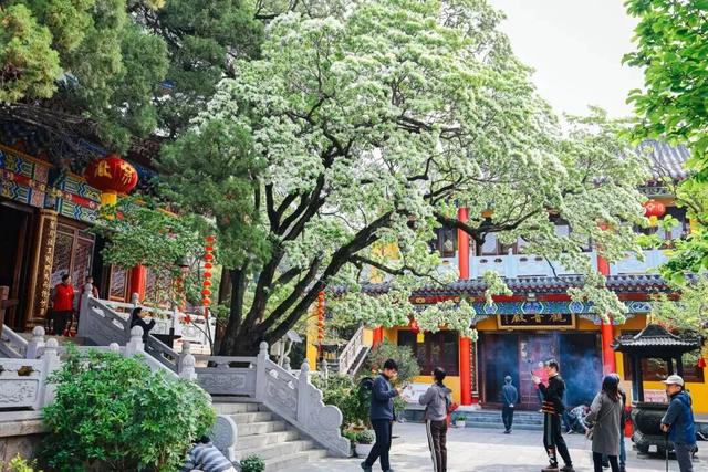 连云港这里三上央视！