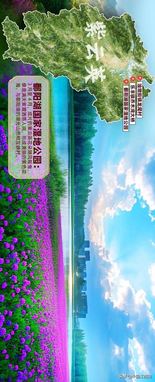 探春花丨江西春日赏花地图正式发布！