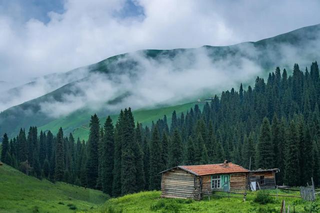 草原花海,塞外江南——超全新疆伊犁旅游攻略