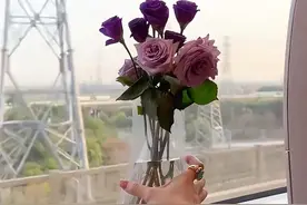 全网疯传的“在高铁上插花”视频：畸形仪式感，正在祸害中国女生图片