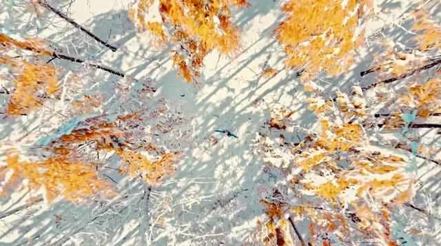 惊！呼伦贝尔这里下雪了！