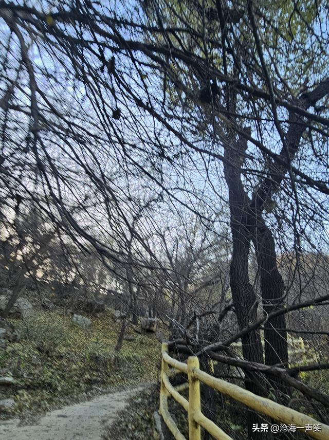 大山和大海，你更向往哪一个？大山里有风景，大海里有风情!