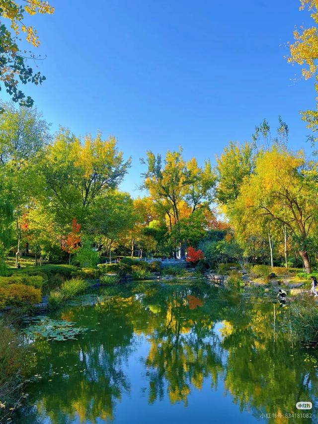 叶落临沂，步步皆是诗意画卷