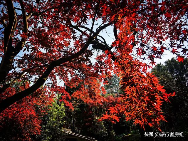 真是醉了，徒步奉化东西岙徐凫岩看悬崖飞瀑堵人竟然堵到怀疑人生