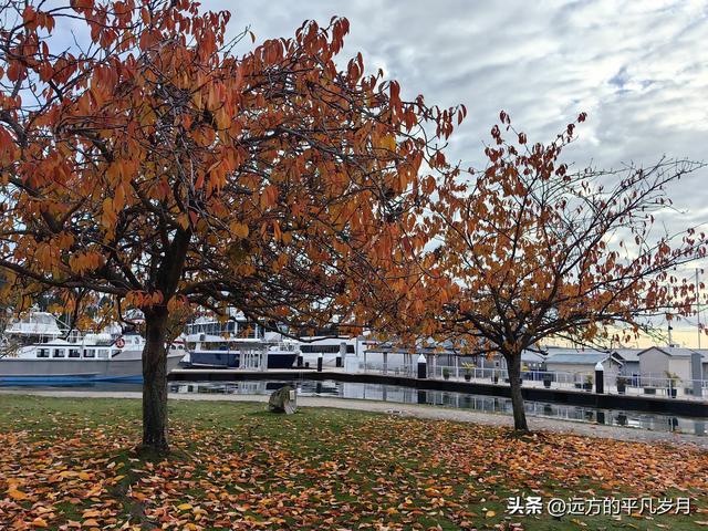 温哥华游记（一）