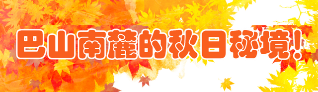山水联动！凭留坝景区门票到黎坪享受半价优惠→