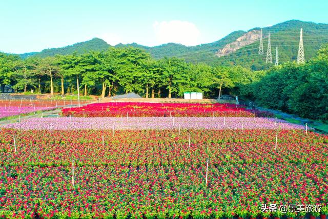 三星增辉南山月，三马拉动秋冬游，三水南山上演不落幕的文旅盛宴