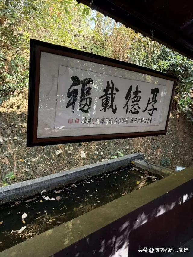 遛娃休闲两不误，在长沙“小禾木”邂逅12月初的灿烂风光！