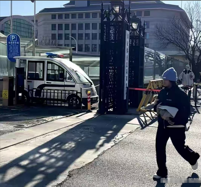 全红婵正式回归不到1天，前后状态判若两人，令人担心的事出现了