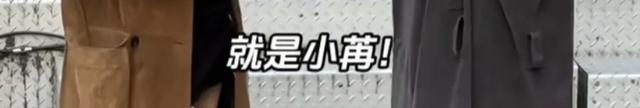 这对姐弟恋…这么甜的吗?我倒看看多好磕?