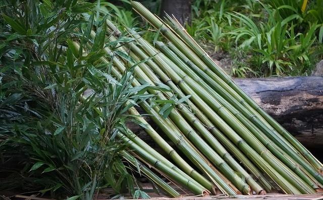 53年来首次，日高官求中方一件事	，不到24小时，高市涉台措辞变了