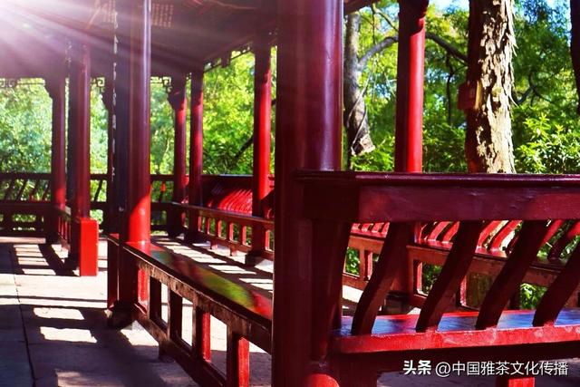 乐山大佛与三江之美：诗意山水间的千年守望