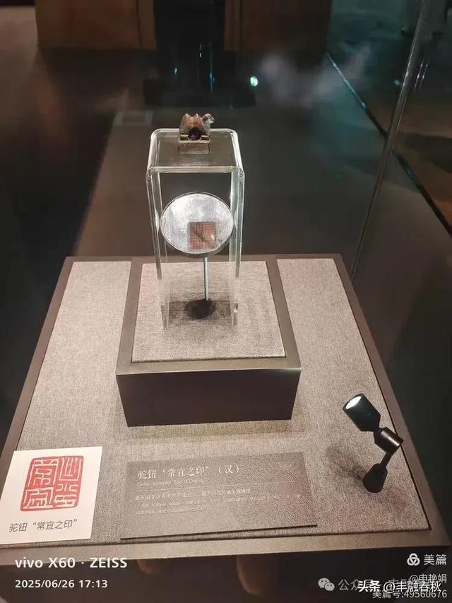 穿越千年的丝路回响：走进龟兹博物馆｜申艳娟
