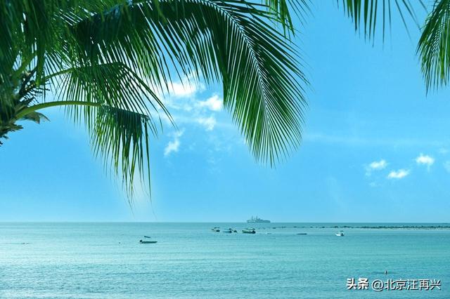 黄海、东海、南海，阵列万舰，蔚为大观，小日子的好日子到头了