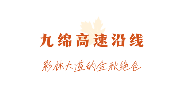 走不出这画了，我已被平武的彩林迷倒！