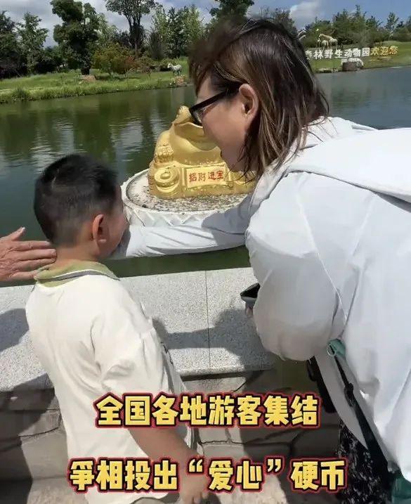 江浙沪最“野”景区，跟迪士尼抢游客