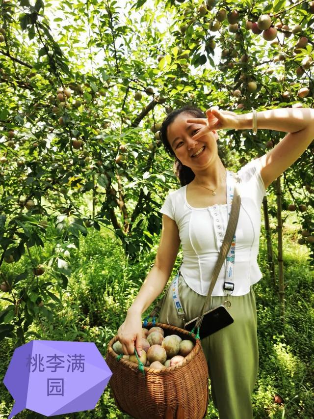“果”然很甜！一起来品尝休宁的多“采”夏天 | 皖美夏日