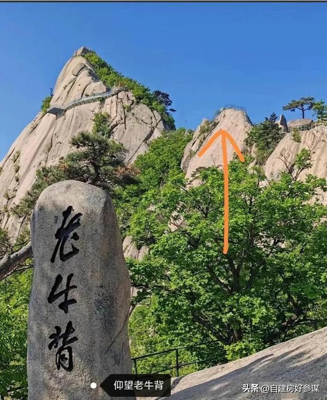 网红景区，接连出现“安全”事故！还是游客全责，景区无责吗？