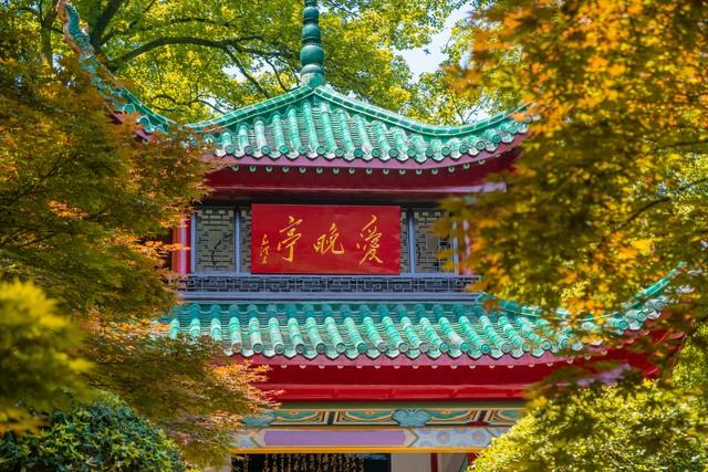 2025中国最美十大城市出炉，青岛第3，广州第6，大连垫底！