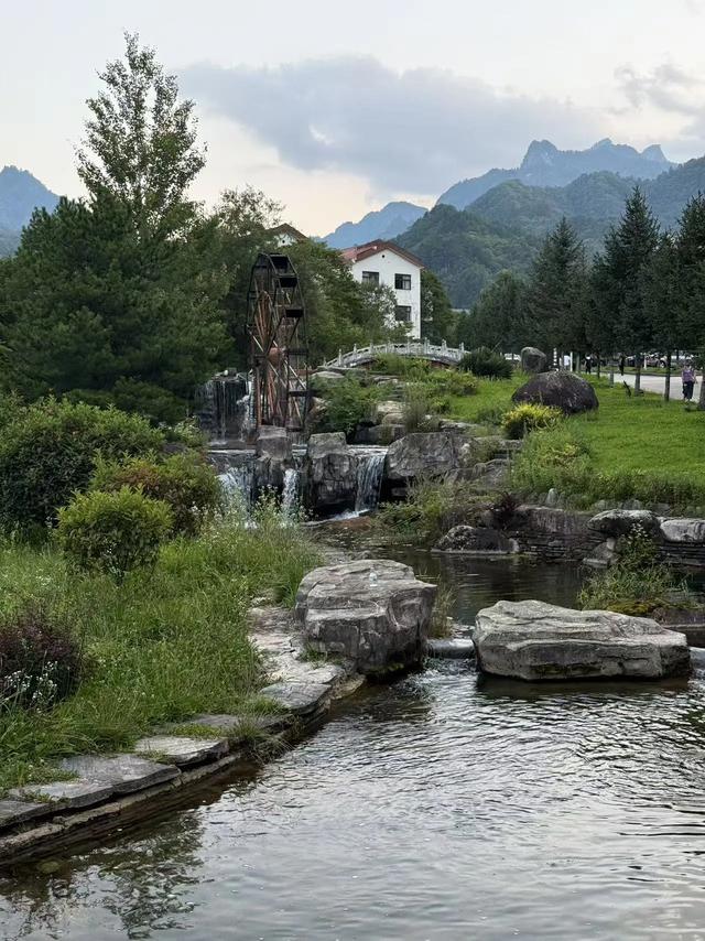 林壑听涛逢旧雨 溪声松语话流年