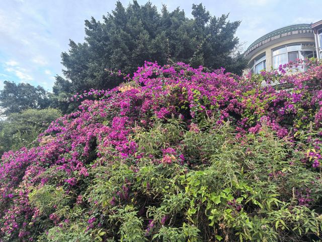 〖风物观9〗再会厦门