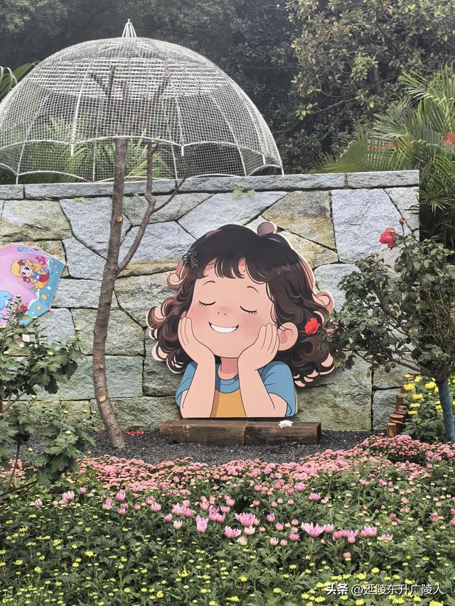 武进新天地公园菊花展 乡村田园风 今年又不同