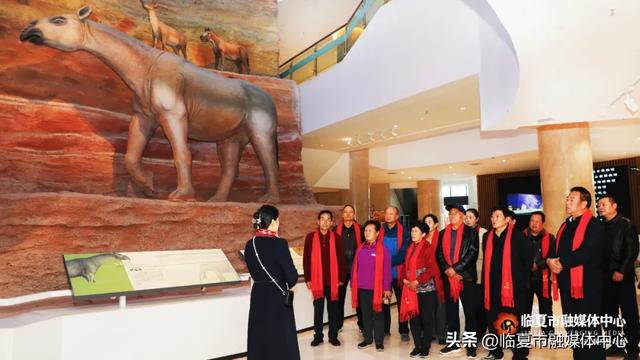 临夏世界地质公园博物馆联合临夏市城南街道举办“岁岁重阳暖・文博伴安康”主题活动