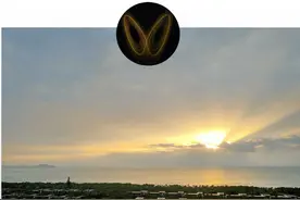 关税大幅暴跌！市场迎来报复性反弹图片