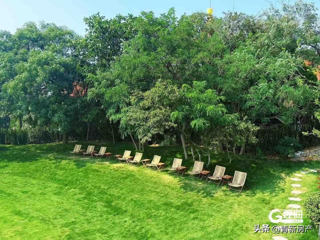 网红打卡地+1！青岛这里有座“天空之城”