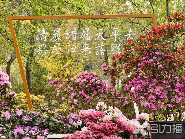 国庆假期“地铁+”游苏州攻略！