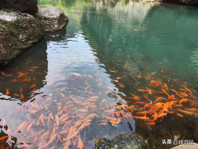 永嘉楠溪江一日，一出站就傻眼根本无车可坐