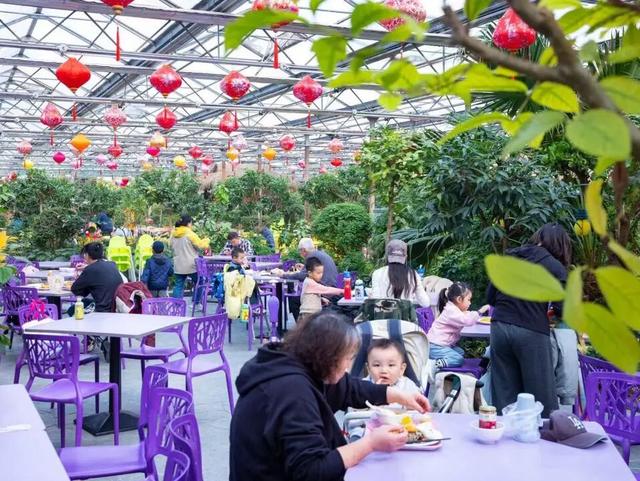 冬日奇遇开启！五洲植物乐园藏着超多惊喜！寻绿不跑空！12月营业时间新鲜出炉~