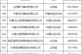 8家煤炭行业企业入围2024中国民营企业500强图片