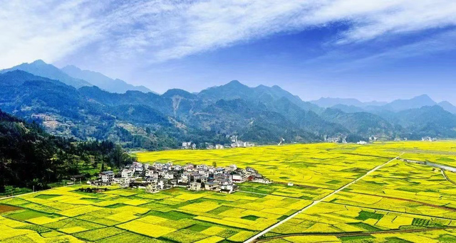 村游碧江丨3月7日来瓦屋，赴一场春日花海之约