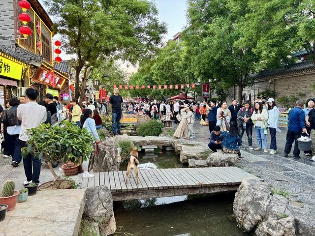 青州古城景区为什么人气这么旺？