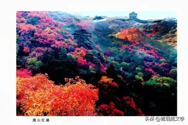 重阳登高赏长城秋色