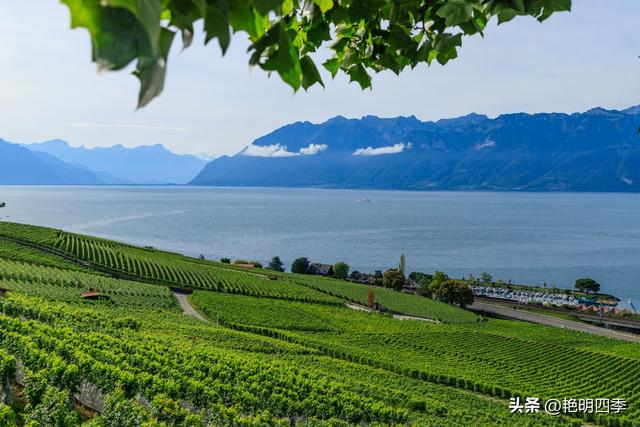 欧游杂记（2）‖ 日内瓦湖畔的美丽：从日内瓦到蒙特勒