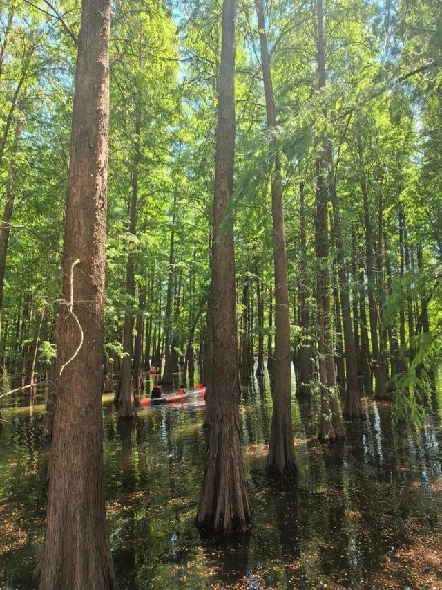 广州没想到，深圳没想到，肇庆就这么慢悠悠出圈了！