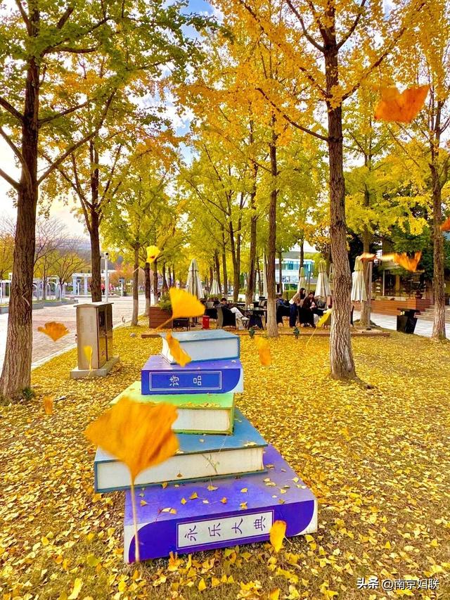 “含金量”渐满～南京的浪漫藏不住了！