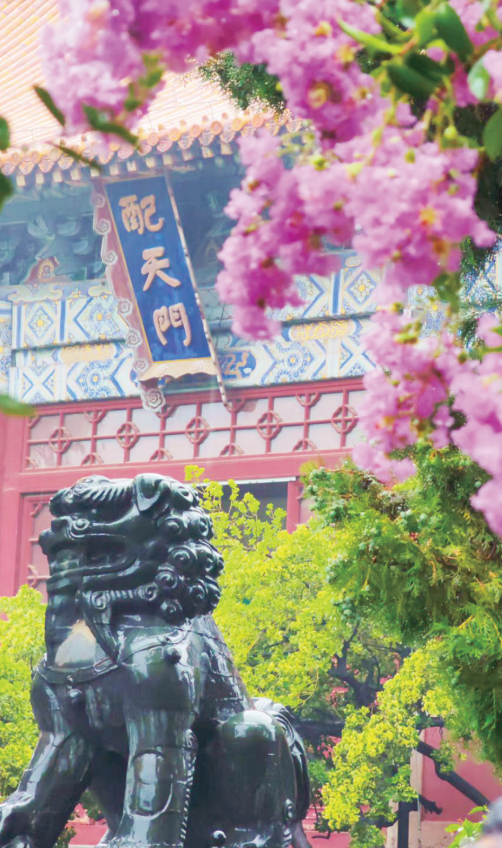 天下泰山丨古庙听雨 沁润心灵