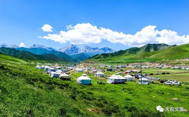 高山草甸、绿意盎然，武威有自己的“呼伦贝尔”大草原！