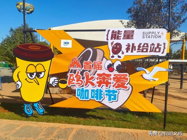 跟着滇超游昆明 | “鸥”然心动！打卡日记已备好，观鸥季精彩继续~